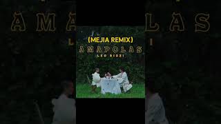 Leo Rizzi  Amapolas Mejia Remix LeoRizzi Remix Amapolas RemixSong LeoRizziAmapolas [upl. by Tiga]