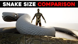 Titanoboa vs All The Snakes Size Comparison [upl. by Rodrigo739]