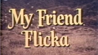 My Friend Flicka 03 of 39  A Case of Honor [upl. by Ymerrej66]