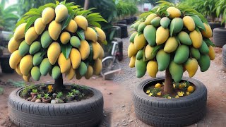 Make Your MANGO Tree THRIVE with These Proven Planting Secrets  Mango Grafting [upl. by Tufts]