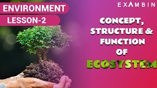 Concept of Ecosystem upsc Abiotic and Biotic factors Crash Course ecology [upl. by Yeblehs]