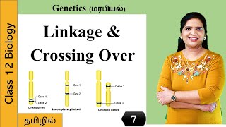 Linkage and Crossing Over  Genetics Class 12 Biology [upl. by Leonardo]