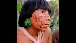 Tribes of the Amazon Rainforest  Yanomami Yekuana and Piaroa [upl. by Loram63]