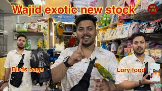 Wajid exotic new stock new birds exotic birds parrot [upl. by Lanita185]