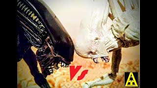 Alien protomorfo vs neomorfo Protomorph vs neomorph Xenomorfo vs neomorfo Xenomorph vs neomorph [upl. by Karsten]