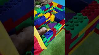 Wiggles Waggles and Waffles have a Dog Obstacle Course Race FamilyFun FunnyDogs ObstacleCourse [upl. by Maudie]