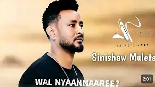 SINISHAW MULETA  WAL NYAANNAAREE  New music afaan oromo 2024 [upl. by Iran]