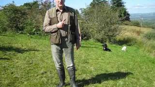 ALTIQUIN DOGS  Labs  Instruction Video  No 2b  Whistle Command to HUNT [upl. by Mir]