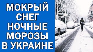 ПОГОДА НА 24 ФЕВРАЛЯ  ПОГОДА НА ЗАВТРА [upl. by Orual]