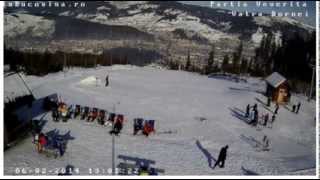 Partia Veverita live webcam Vatra Dornei [upl. by Nagaem]