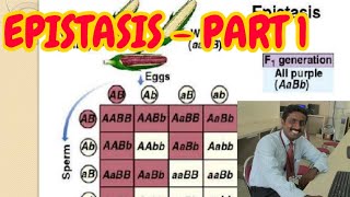 EPISTASIS PART 1  TAMIL EXPLANATION [upl. by Haiel]