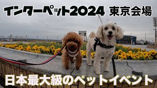 トイファクトリーGT インターペット2024 東京ビッグサイト 一年に一度の大セールに愛犬と買い物三昧！ [upl. by Gapin]