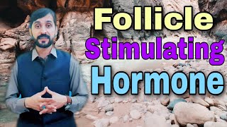 Follicle Stimulating Hormone Test  FSH Test [upl. by Boarer928]