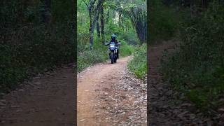 Bmw g310gs offroading bmw bmwg310gs g310gs ytshorts shorts [upl. by Ellinet793]