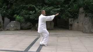 Chen Style Tai Chi 13 Form [upl. by Aitnas492]