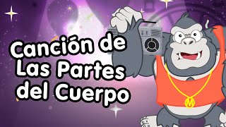 Las partes del cuerpo  Canciones Infantiles  Canción para niños  Doremila [upl. by Dew318]