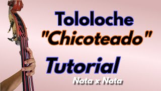 TOLOLOCHE CHICOTEADO tutorial Nota x Nota [upl. by Cordier]