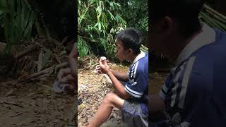 Boy meets gorilla in the forest gorilla survival bushcraft wildlife [upl. by Haliled258]