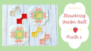 Strawberry Garden Quilt  Month Six  Aster Flower and Bowtie Blocks BOM [upl. by Neille]