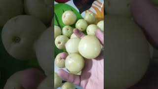 gooseberry fruitFoodtreanding shortsfollowindianrecipe [upl. by Prentiss]