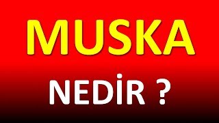 MUSKA NEDİR [upl. by Oringas916]