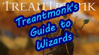 Treantmonks Guide to Wizards Introduction [upl. by Ahsiekrats]