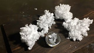 実験 尿素結晶のレジン封入 ExperimentUrea crystal in resin [upl. by Namar]