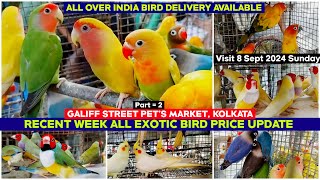 Recent Week All Exotic Bird Price Update  Galiff Street Pet Market 08092024 Chepset Bird Market [upl. by Enyrehtak]