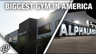 THE BEST GYM IN THE WORLD  ALPHALAND [upl. by Llyrad]