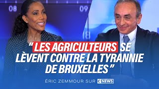 Eric Zemmour dans Face à lInfo  Les agriculteurs se lèvent contre la tyrannie de Bruxelles [upl. by Euqinom]