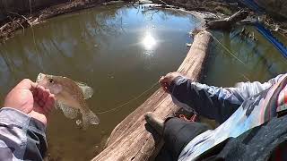 Como Pescar Crappie y White Bass en Invierno [upl. by Auof455]