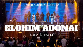 DAVID DAM  ELOHIM ADONAI “This is Kingdom Come” at KOINONIA ABUJA [upl. by Nonrev]