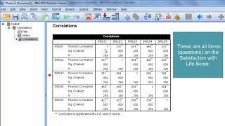 How to Interpret a Correlation Matrix [upl. by Treboh]