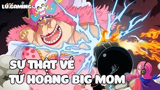 TẤN TẦN TẬT VỀ TỨ HOÀNG BIG MOM [upl. by Wenz]