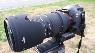 Sony a99  Sigma 50500mm Range Test crop factors [upl. by Airotal466]