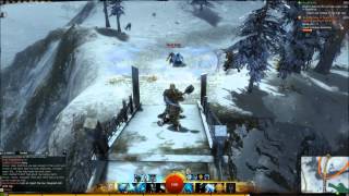 Guild Wars 2 Review [upl. by Borroff]