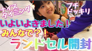 【はちゅの日記】 結局なに色？みんなでランドセル開封☆はちゅには内緒㊙️4人で開けてイイ思い出できちゃった！ [upl. by Mccallum]