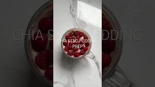 Chia Seed Pudding🍓🍫😋 chiaseeds chiapudding recipe fyp breakfast foodtok aesthetic asmr [upl. by Jules]