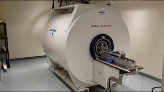 BIC 94 Tesla MRI scanner [upl. by Eelyrag]