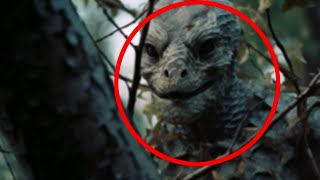 30 Creepiest Things Found In The Woods [upl. by Erich871]