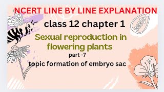 formation of embryo sacsexual reproduction in flowering plants NCERT line by line explanation [upl. by Eveivenej]