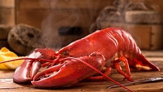 How To Correctly Cook Lobster [upl. by Ennovyhs]