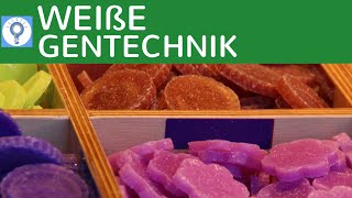 Weiße Gentechnik  Genetik in der Industrie einfach erklärt  Vor amp Nachteile  Gentechnologie [upl. by Gerhan]