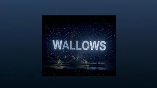 Wallows playlist [upl. by Schaaff]