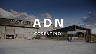 Cosentino Hub Australia Grand Opening short  Cosentino [upl. by Imaon]