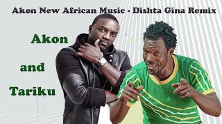 Akon New African Music Dishta Gina Remix [upl. by Dessma]