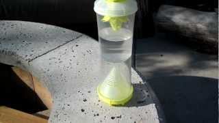 Wasp yellowjacket traps do they work Pt 1 of 2 [upl. by Cirone293]