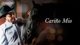 Cariño Mio  Aries Vigoth Audio Oficial [upl. by Bayly699]