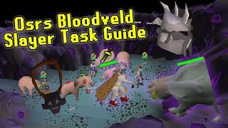 OSRS Bloodveld Slayer Guide Using the Catacombs of Kourend  Slayer Made Easy [upl. by Vershen184]