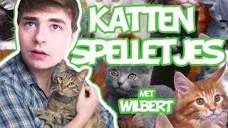 CAT MARIO RAGE   Katten spelletjes met Wilbert [upl. by Ave637]